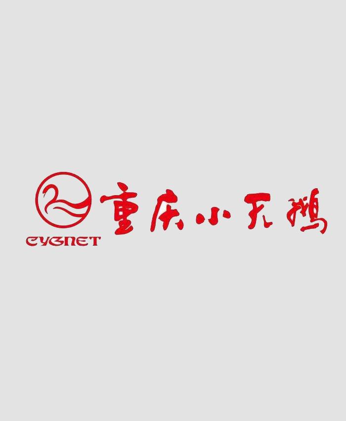 重庆小天鹅