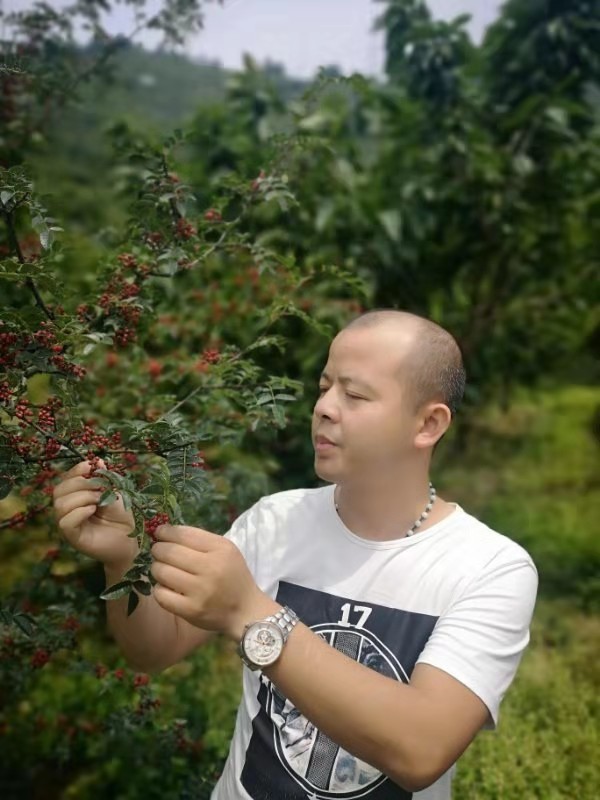 56fbe42b05202847b213cb0b26ff3c1.jpg